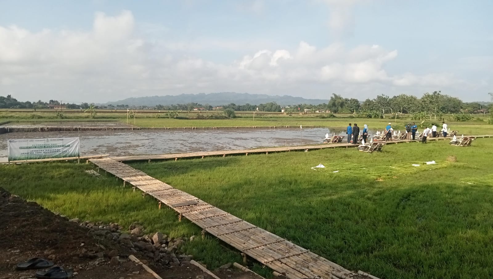 Area persawahan milik Universitas Muhammadiyah Gombong yang menjadi tempat penanaman varietas padi unggul milik Persyarikatan
