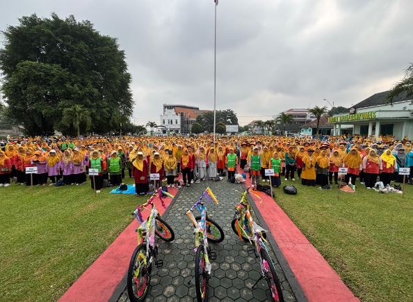 PDA Banyumas