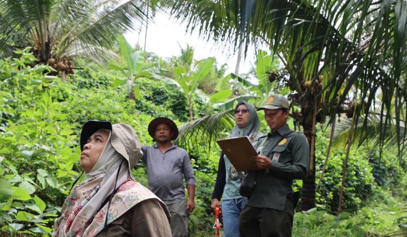Image Caption