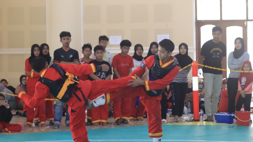 Dok Istimewa