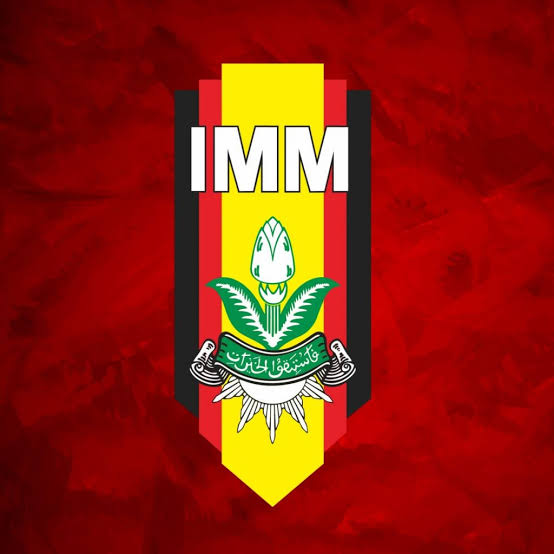 Logo IMM
